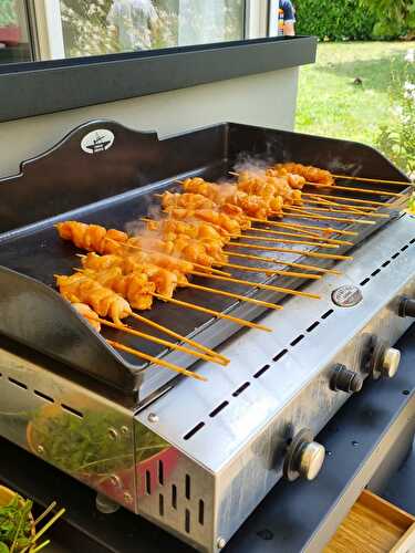 Brochettes de poulet au satay