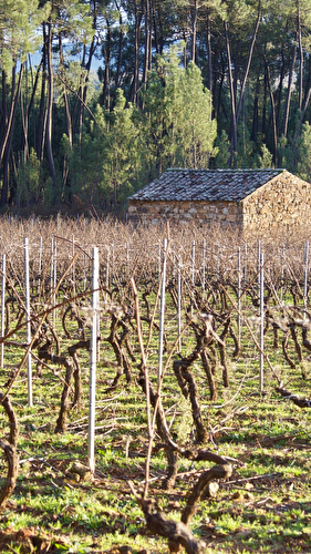 A la découverte des vins d'Ardèche