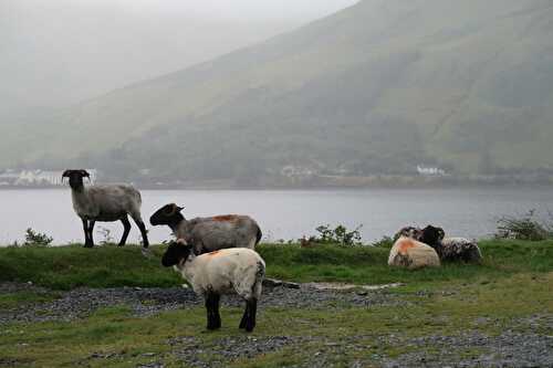 Que faire dans le Nord du Connemara ?