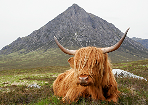 Quel itinéraire pour un Road-Trip en Ecosse ?