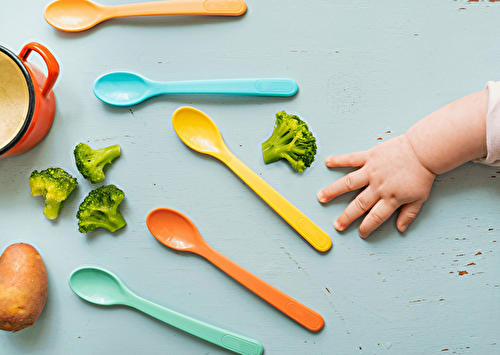 Comment bien commencer la diversification alimentaire