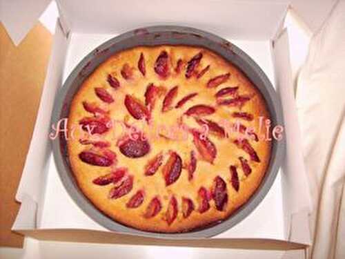 Clafoutis aux prunes