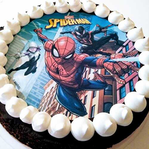 Gâteau au chocolat et noix de coco Spiderman