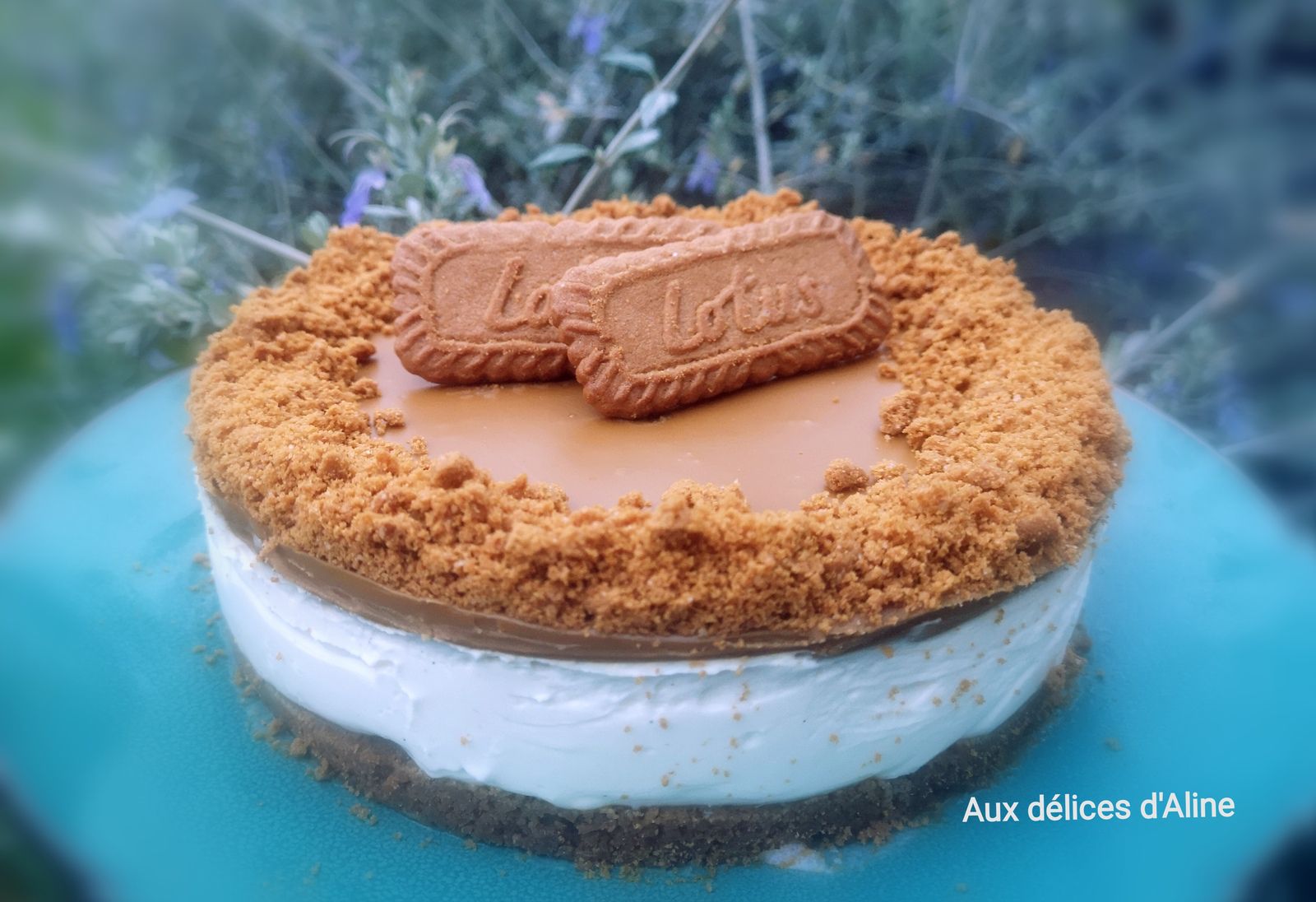 Cheesecake aux speculoos