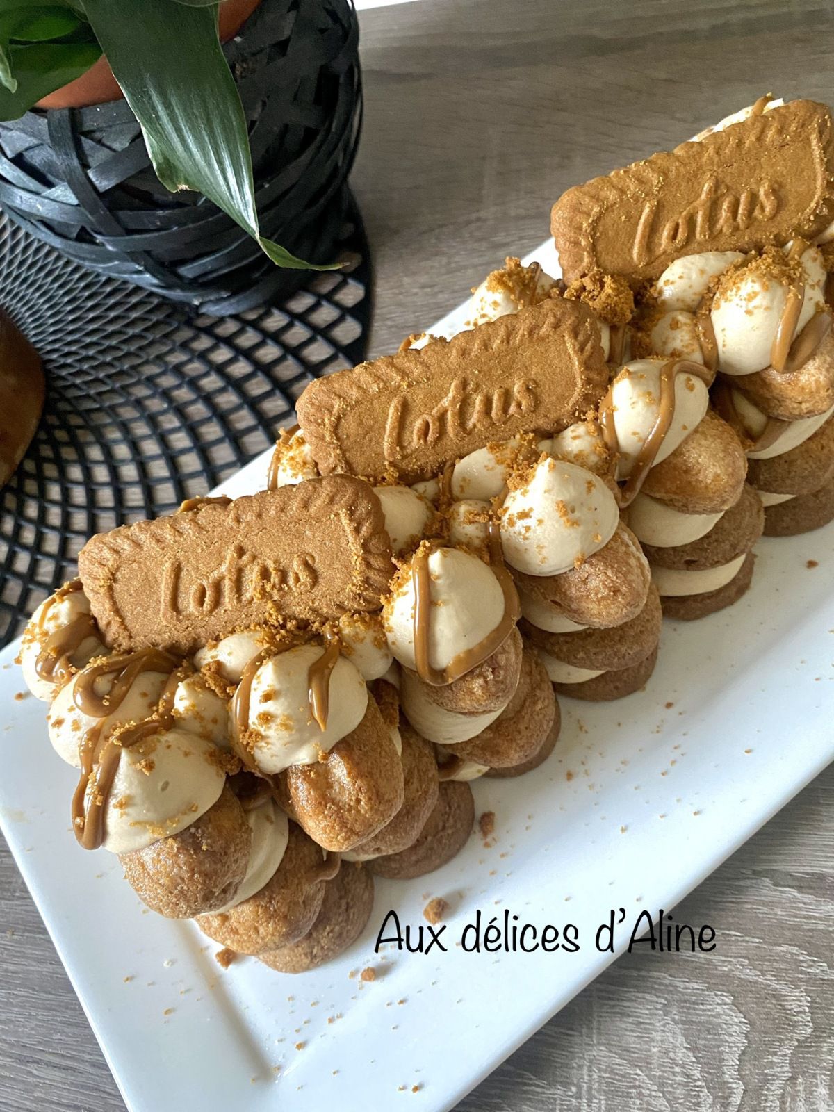 Dessert aux spéculoos rapide