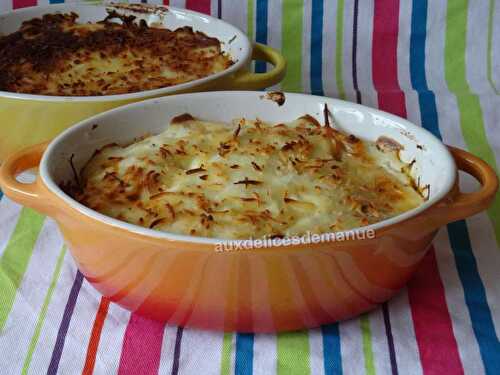 Lasagnes de carottes et courgette à la bolognaises -LIGHT-