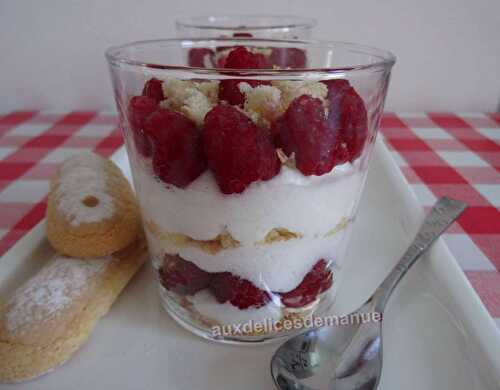 Mousse de fromage blanc aux framboises -LIGHT-