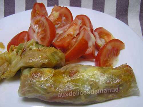 Nems à la fondue de courgette et tomates au jambon de poulet et emmental -LIGHT-