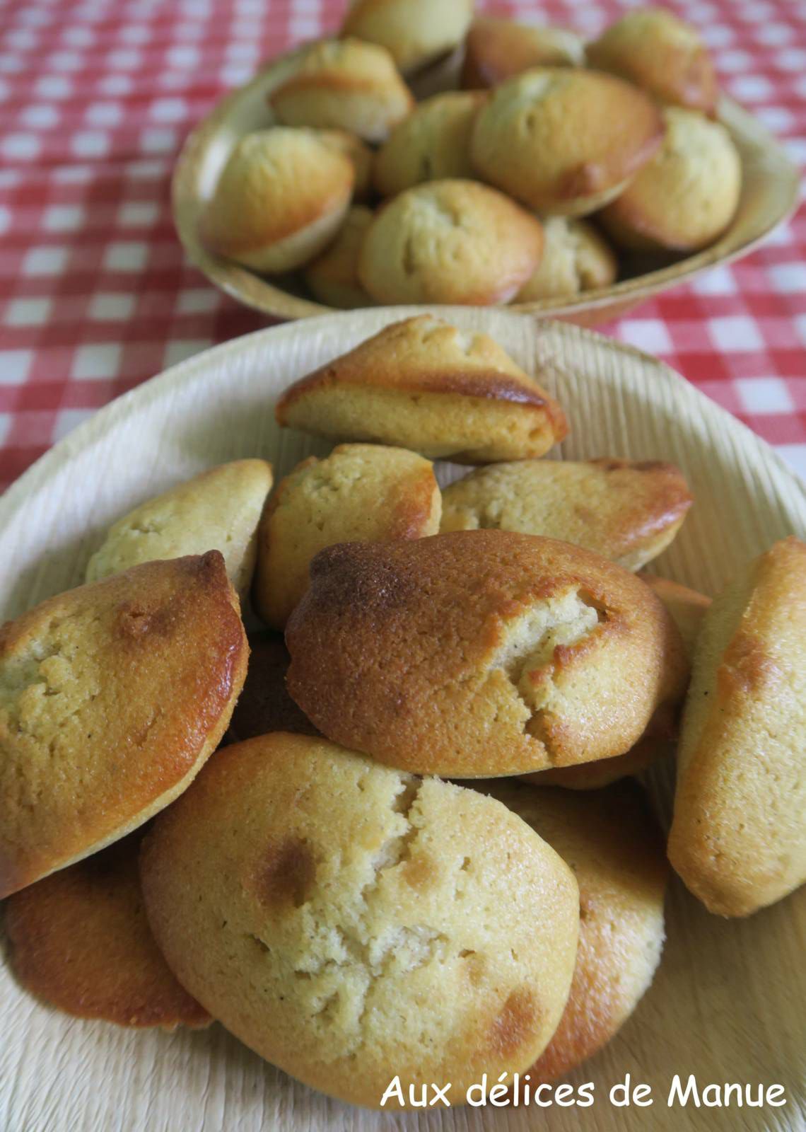 Madeleines façon Gaston Lenôtre