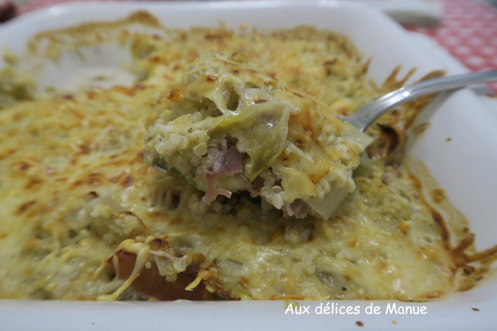 Gratin de quinoa aux endives et jambon cru