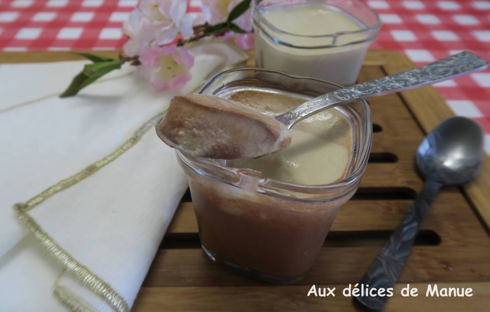 Crèmes noix de coco au coulis au chocolat, à la yaourtière 