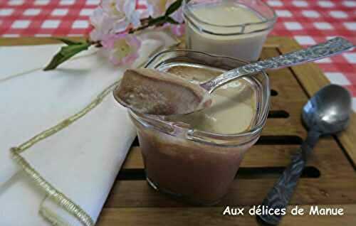 Crèmes noix de coco au coulis au chocolat, à la yaourtière 
