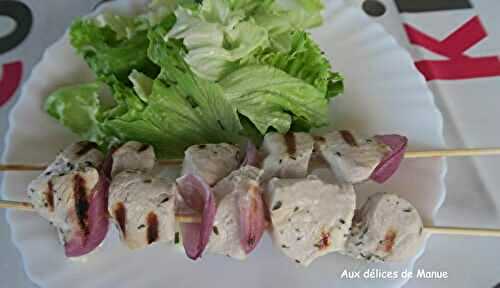 Brochettes de dinde et oignon rouge, marinées au lait de coco 