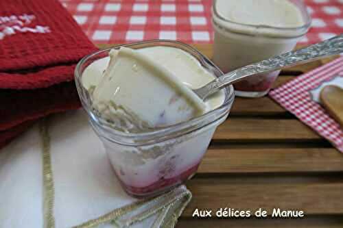 Crèmes au lait de coco et coulis de framboises, à la yaourtière