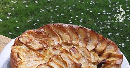 Gâteau Fondant Pommes / 