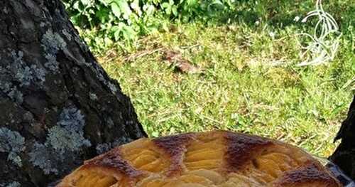 Tarte Amandine à la pêche