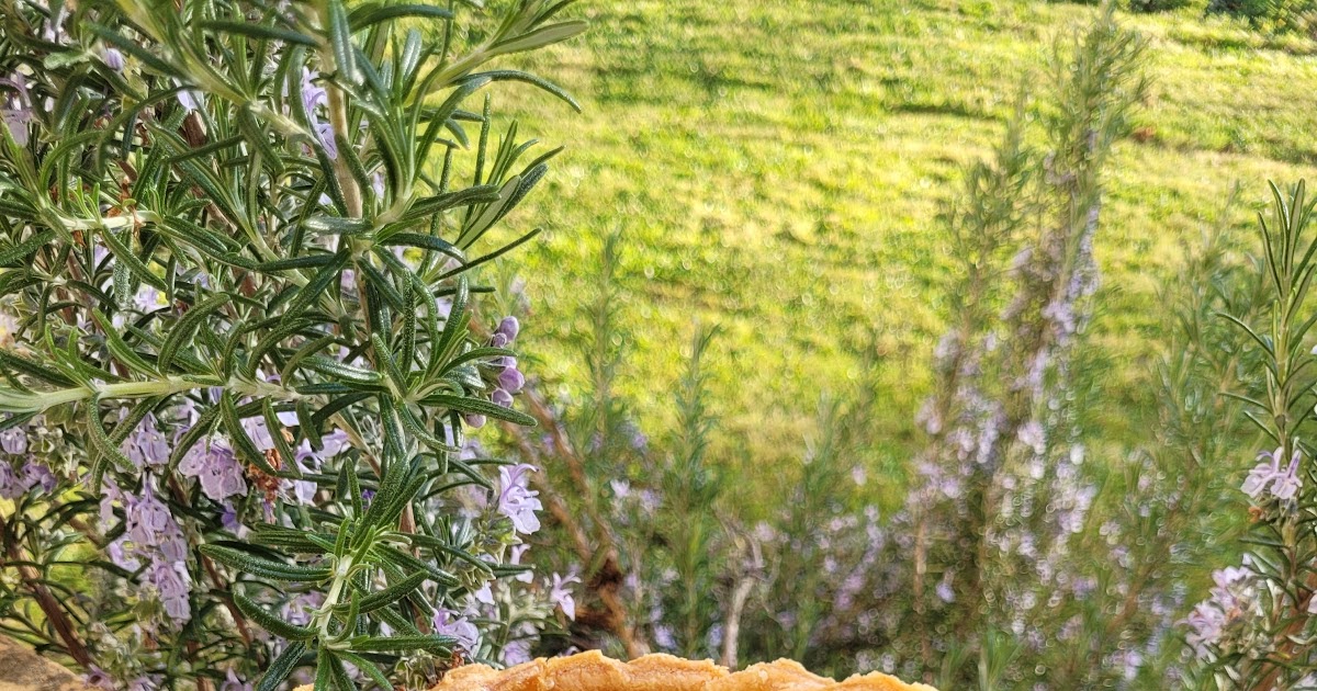 Tarte aux poireaux