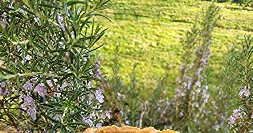 Tarte aux poireaux