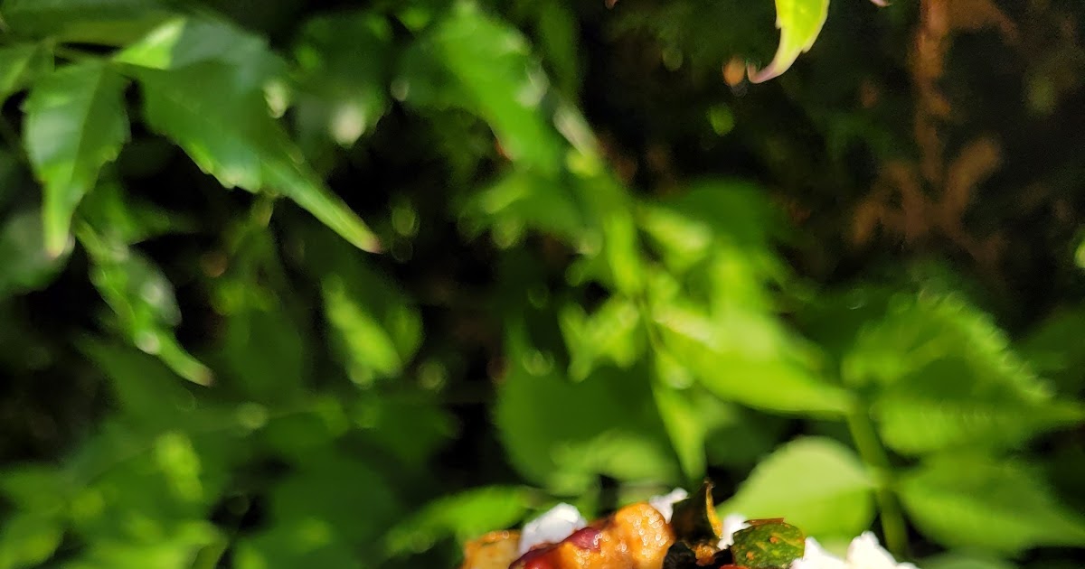 Salade de légumes grillés