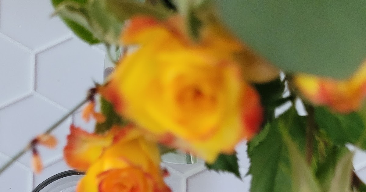 Mini brioches chocolatées sans beurre