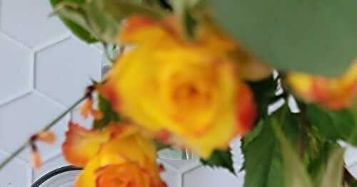 Mini brioches chocolatées sans beurre