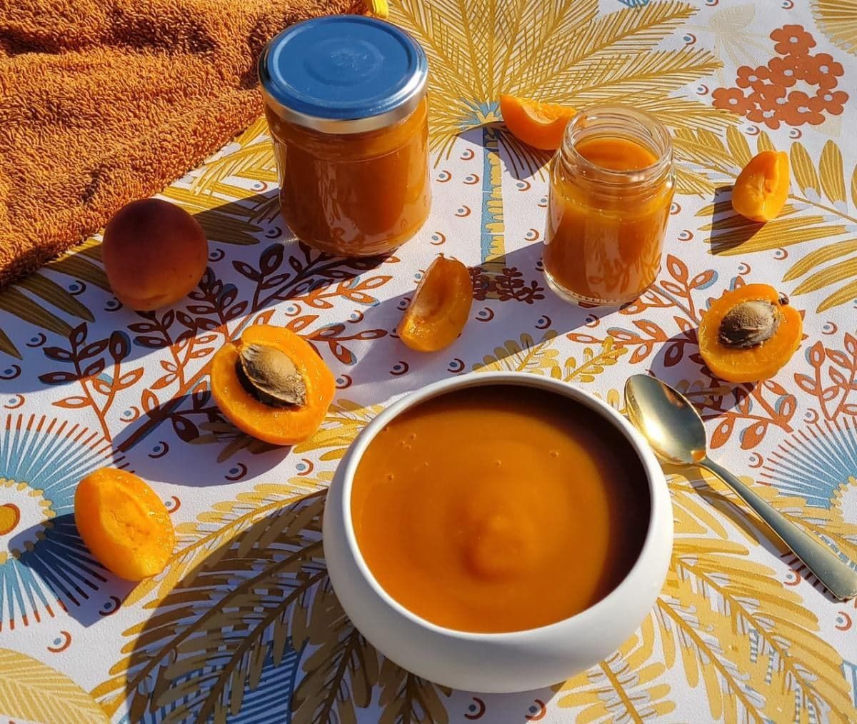 Coulis d'abricot au Thermomix - Bienvenue au bal des saveurs