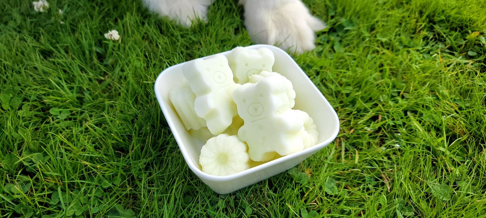 Friandises salées caniculaire pour chien