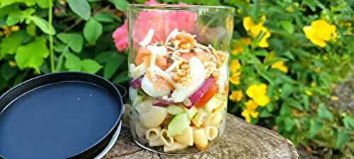 Salade de pâtes au saumon 