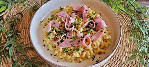 Risotto aux coquillettes de Jow