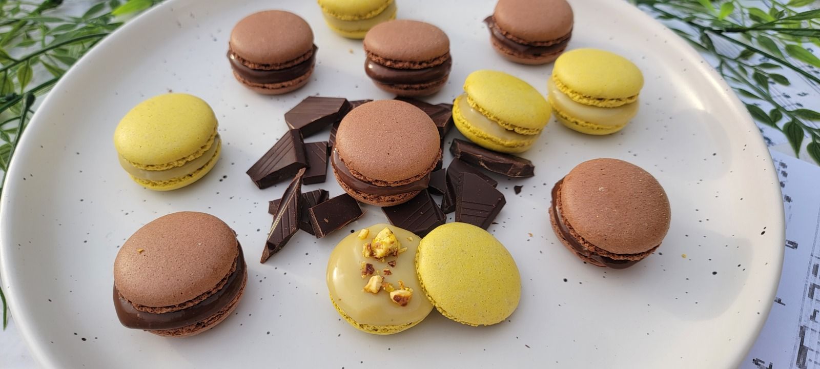 Macarons au chocolat, fleur de sel et fève Tonka