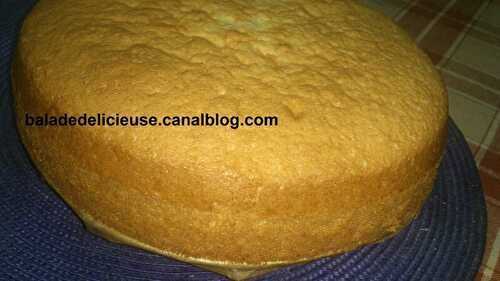 Sponge cake