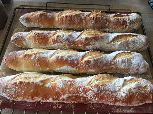 Baguettes francaise a la levure de boulanger