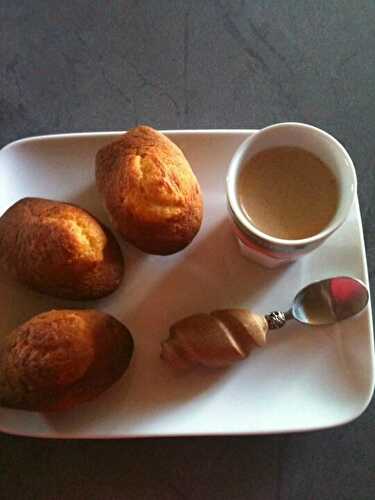 MADELEINES AU BEURRE DE LENOTRE