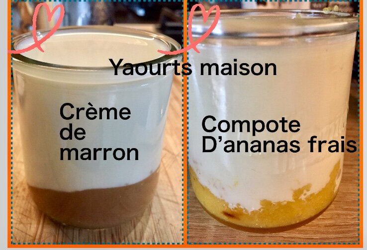 Yaourts maison a la crème de marron OU compote d'ananas 