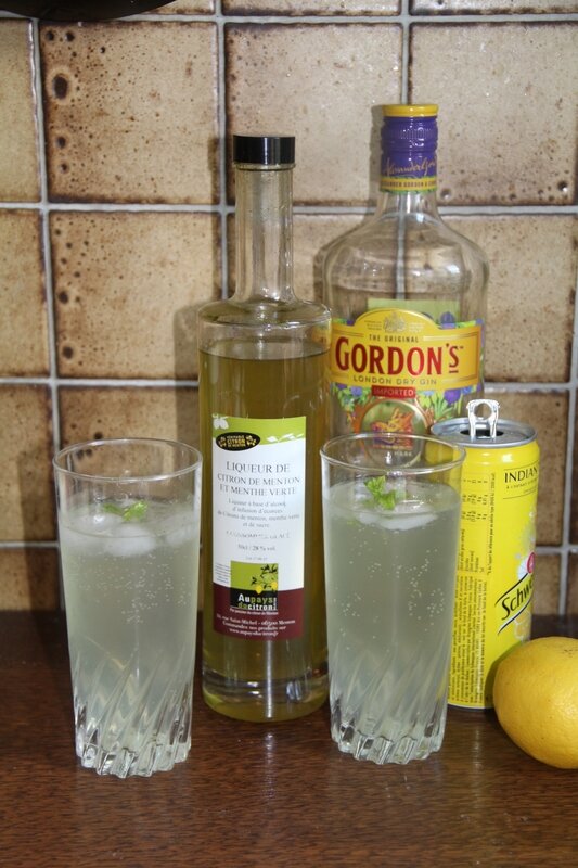 FROZEN GIN MENTHE CITRON