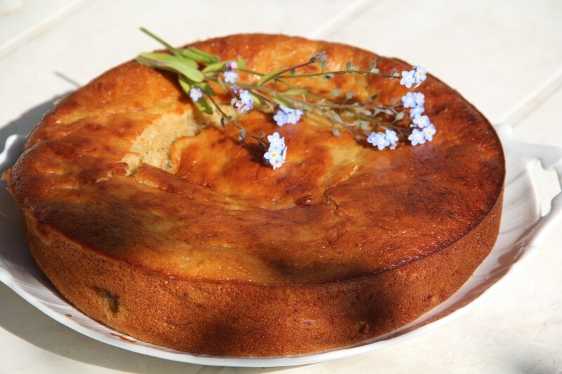 GATEAU A LA FRAISE, A LA RHUBARBE ET AU MIEL