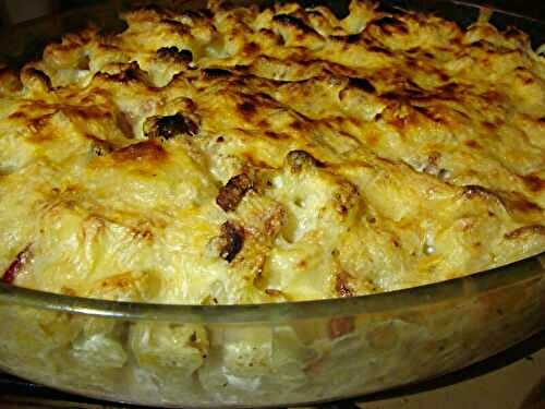 GRATIN DE PATES TROIS FROMAGES DOUX