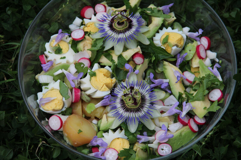 SALADE DE POMMES DE TERRE EN JARDIN FLEURI