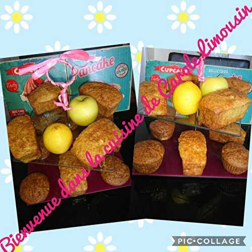 Cake moelleux aux jaunes d'oeufs et pommes/citron au companion et cake factory