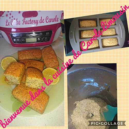 Cakes au citron et aux graines de pavot fait avec le companion et cuit au cake factory