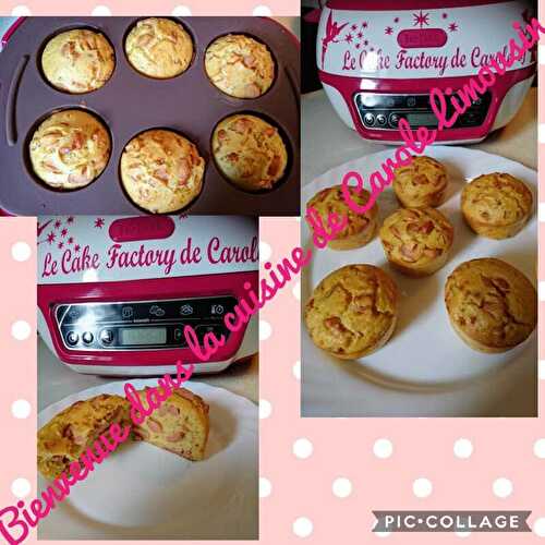 Mini cake knacki moutarde cuit au cake factory