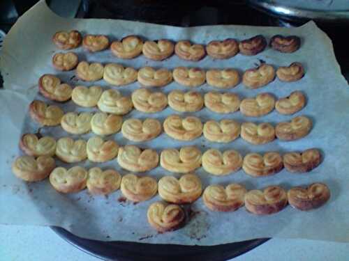 Petits palmiers