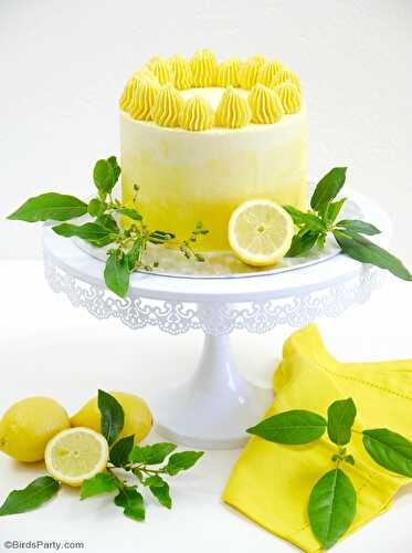 Fêtes | Party Printables: Layer Cake Ombré au Citron