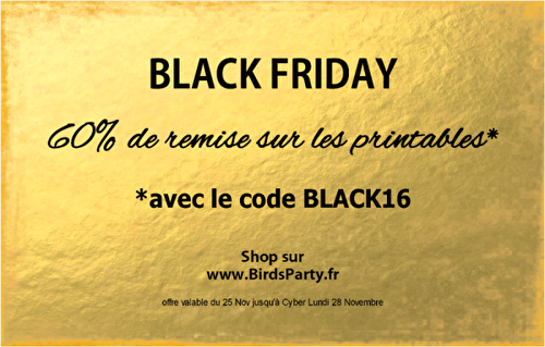 Fêtes | Party Printables: OMG! 60% de Remise sur BirdsParty.fr 😲