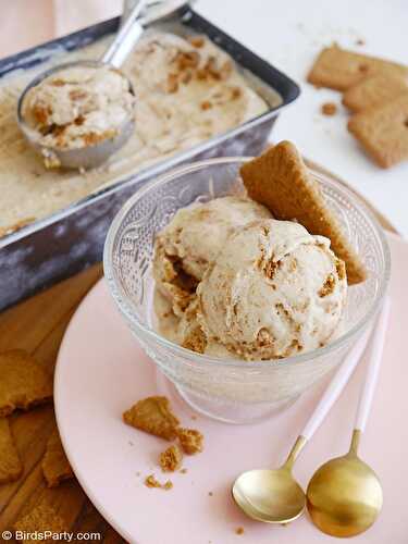 Recette de Glace aux Spéculoos Sans Machine