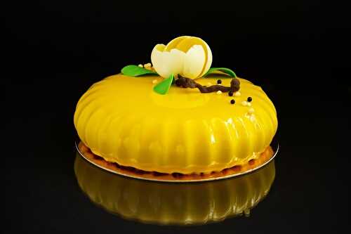 Recette Entremet à la mangue avec le moule Raggio Silikomart