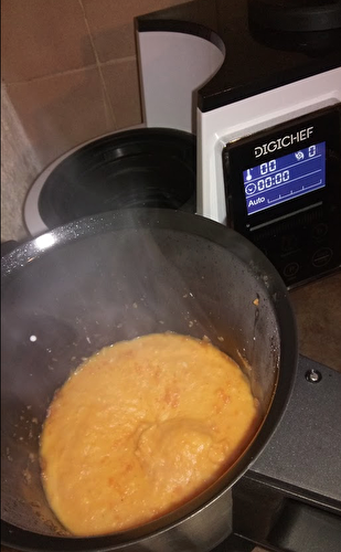 Purée de Carottes DIGICHEF