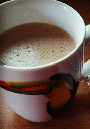 Chocolat chaud Petit Chef - FAGOR