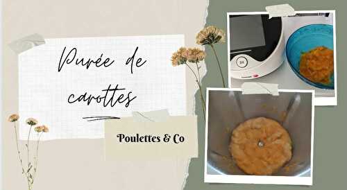 Purée de carottes / Fagor Connect