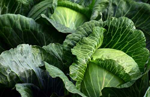 Caldo Verde (soupe au chou brésilienne)